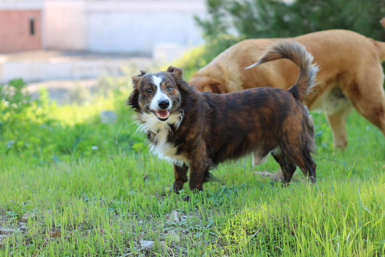 RUS FİNOSU OĞLUMA EŞ 2